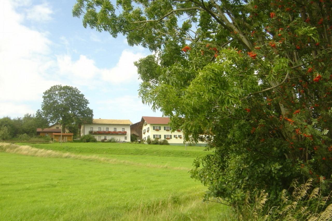 דירות נויקירשן ביים הייליגן בלוט Birkenhof מראה חיצוני תמונה